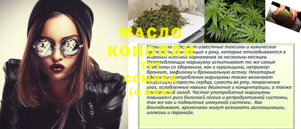 индика Богородск