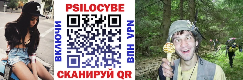 МЕГА ссылки  дарк нет официальный сайт  Псилоцибиновые грибы мухоморы  Елабуга 