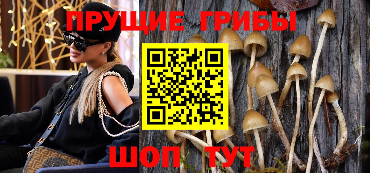 Галлюциногенные грибы мухоморы  Вход с VPN  Елабуга 