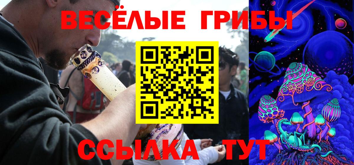 Псилоцибиновые грибы прущие грибы Елабуга