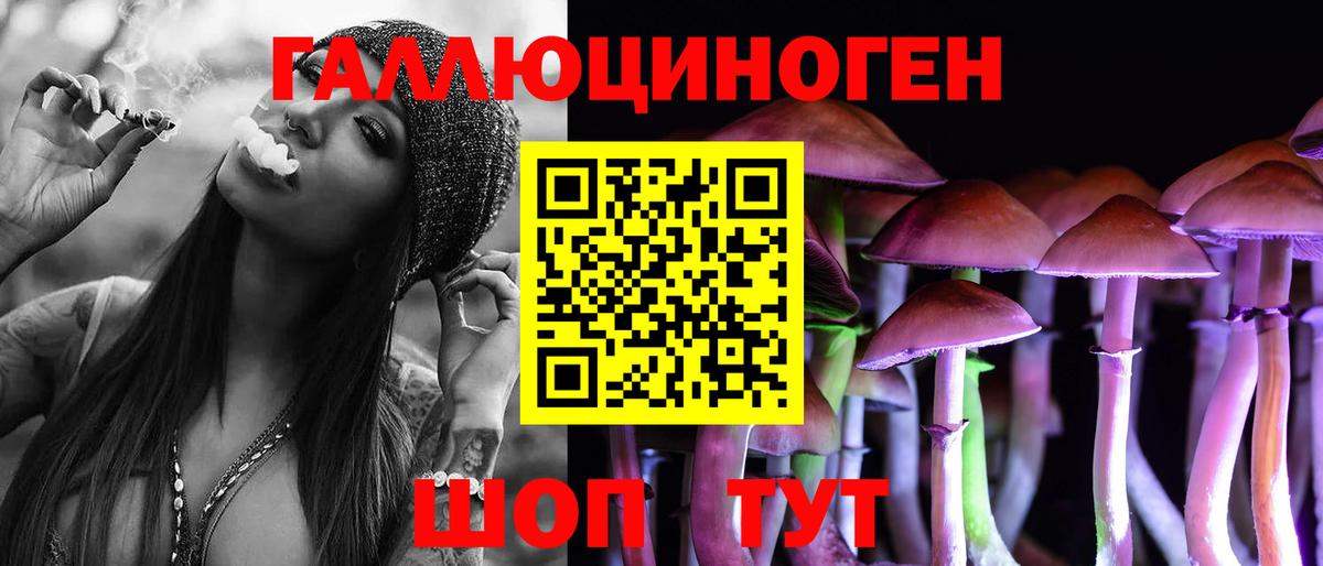 Псилоцибиновые грибы Psilocybine cubensis Елабуга