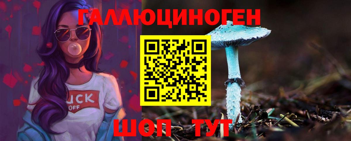 Псилоцибиновые грибы GOLDEN TEACHER  Псилоцибиновые грибы прущие грибы  Елабуга 